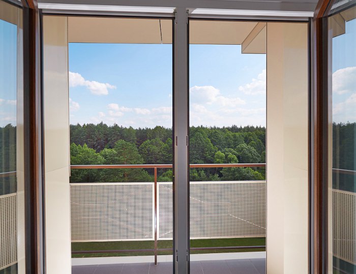 Standard с балконом - Санаторий «Альфа Радон»